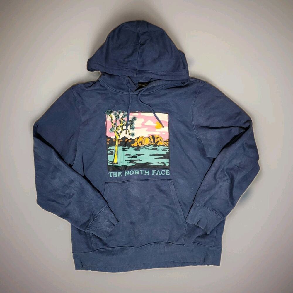 The North Face Mens Large Blue Graphic Hoodie Sweatshirt L Desert Tree Landscape